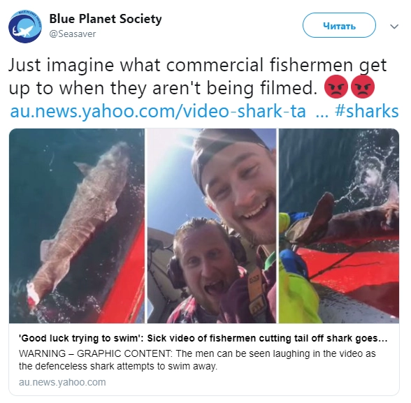 "Только представьте себе, что вытворяют на коммерческих рыболовных судах, если никто не снимает видео"