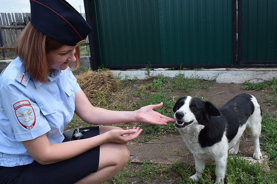 © ЛО МВД России