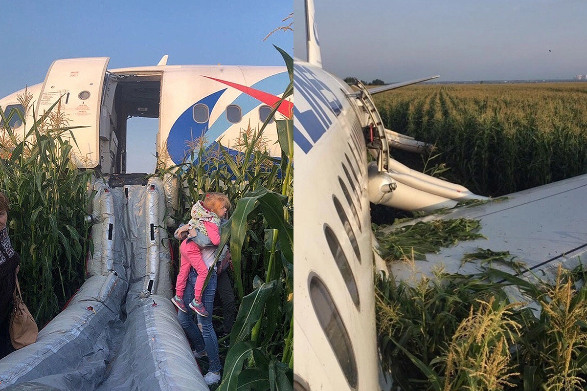 Пассажиры самолета в поле