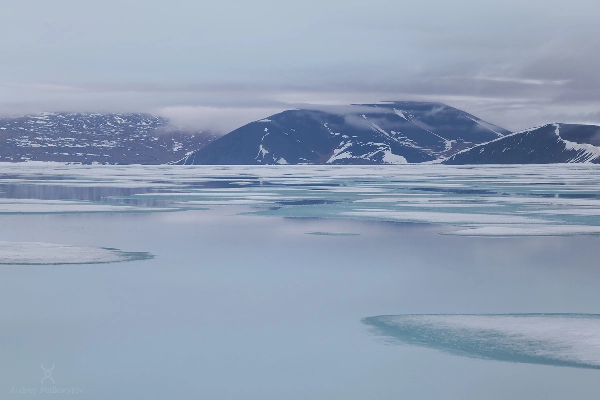 Восточно-сибирское море. Чаунская губа. Полуостров Шелагский. Арктическая Чукотка. Восточно-сибирское море. Чаунская губа. Полуостров Шелагский. Арктическая Чукотка.