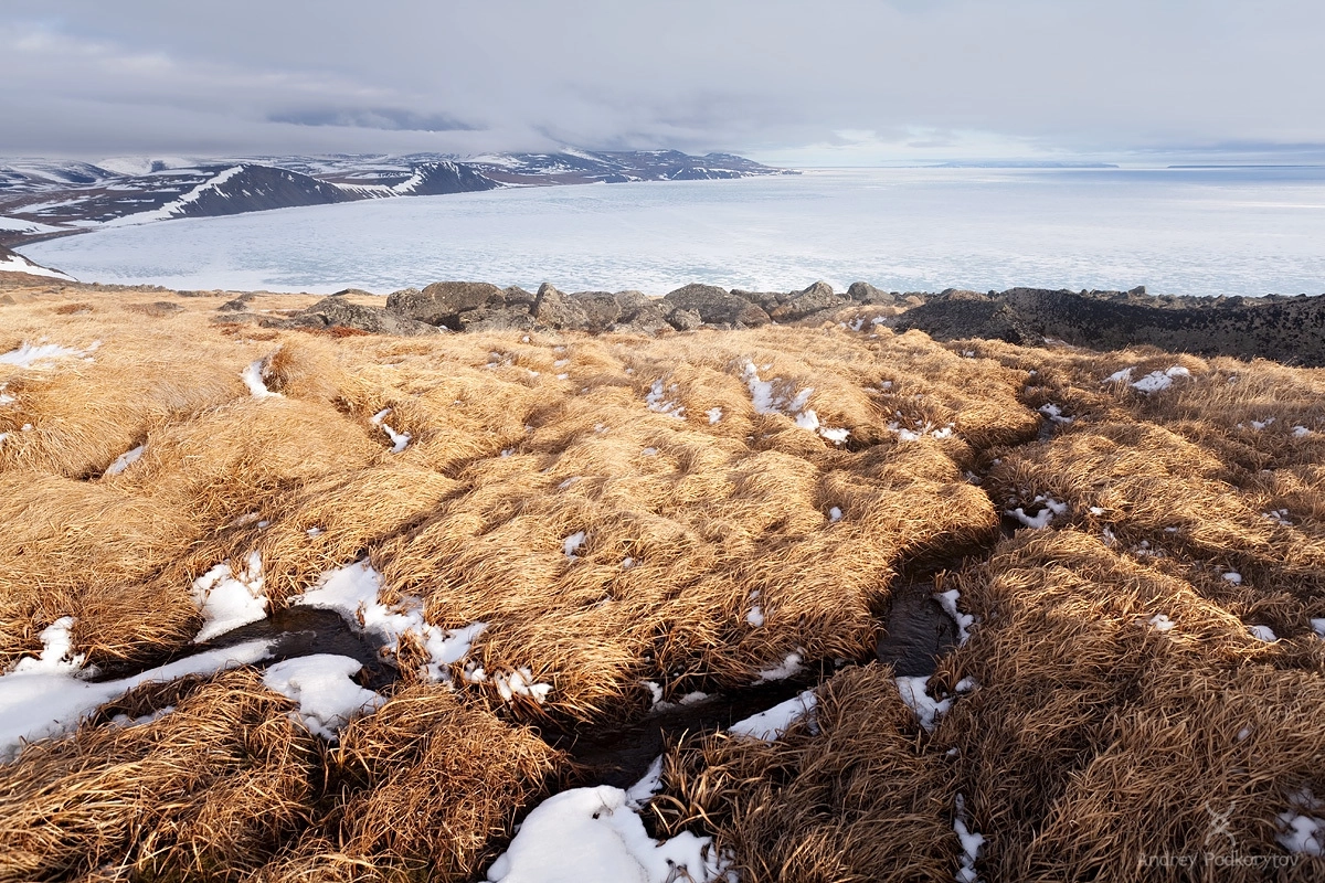 Восточно-сибирское море. Чаунская губа. Полуостров Шелагский. Арктическая Чукотка. Восточно-сибирское море. Чаунская губа. Полуостров Шелагский. Арктическая Чукотка.