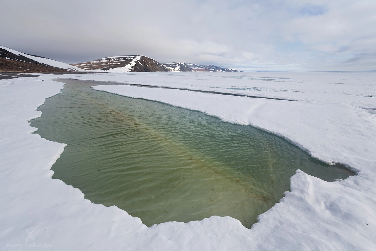 Восточно-сибирское море. Чаунская губа. Полуостров Шелагский. Арктическая Чукотка. Восточно-сибирское море. Чаунская губа. Полуостров Шелагский. Арктическая Чукотка.