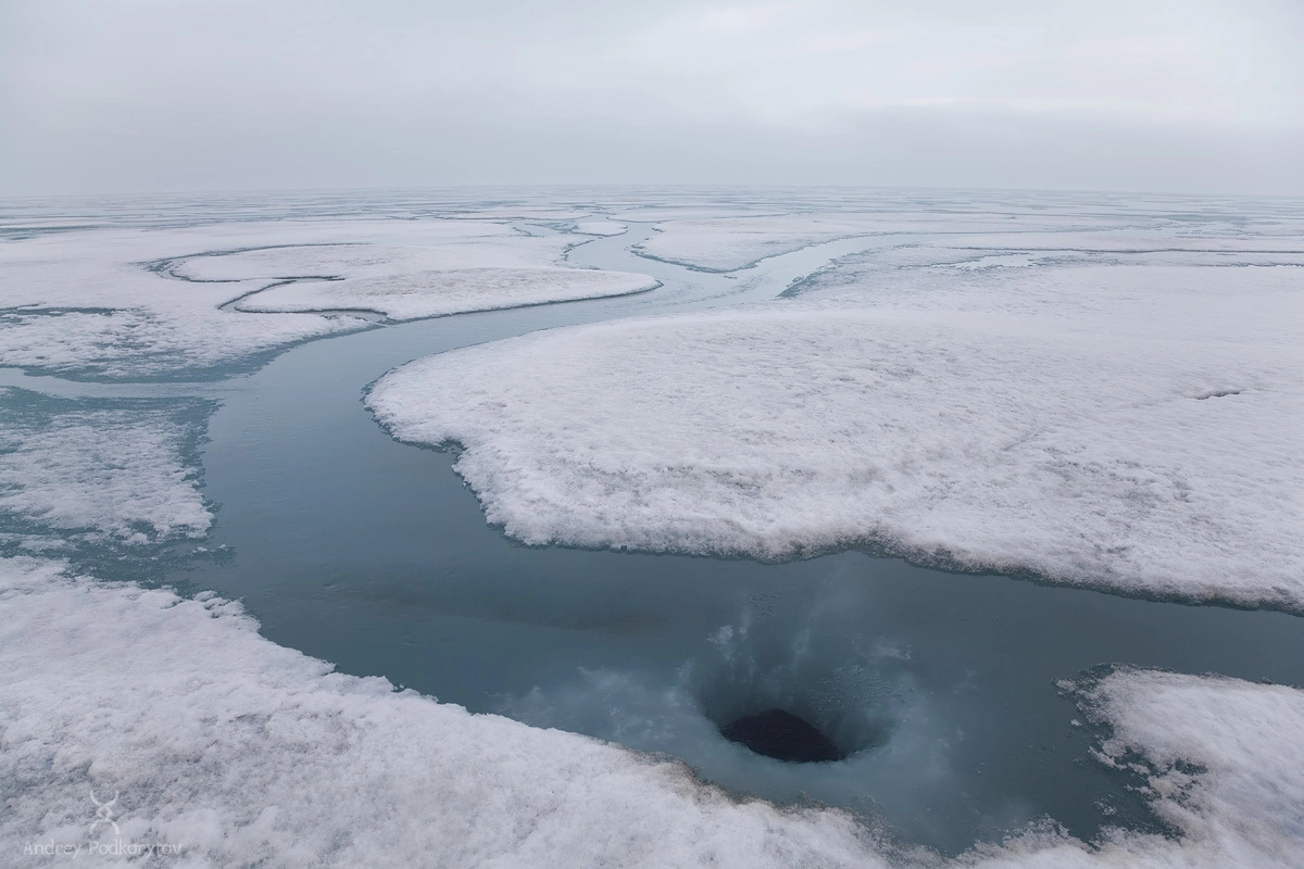 Лунка нерпы. Восточно-сибирское море. Чаунская губа. Полуостров Шелагский. Арктическая Чукотка.