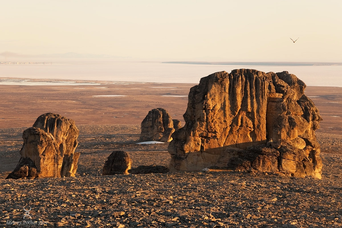 Кекуры., г.Кекурная. Арктическая Чукотка. Кекуры., г.Кекурная. Арктическая Чукотка.