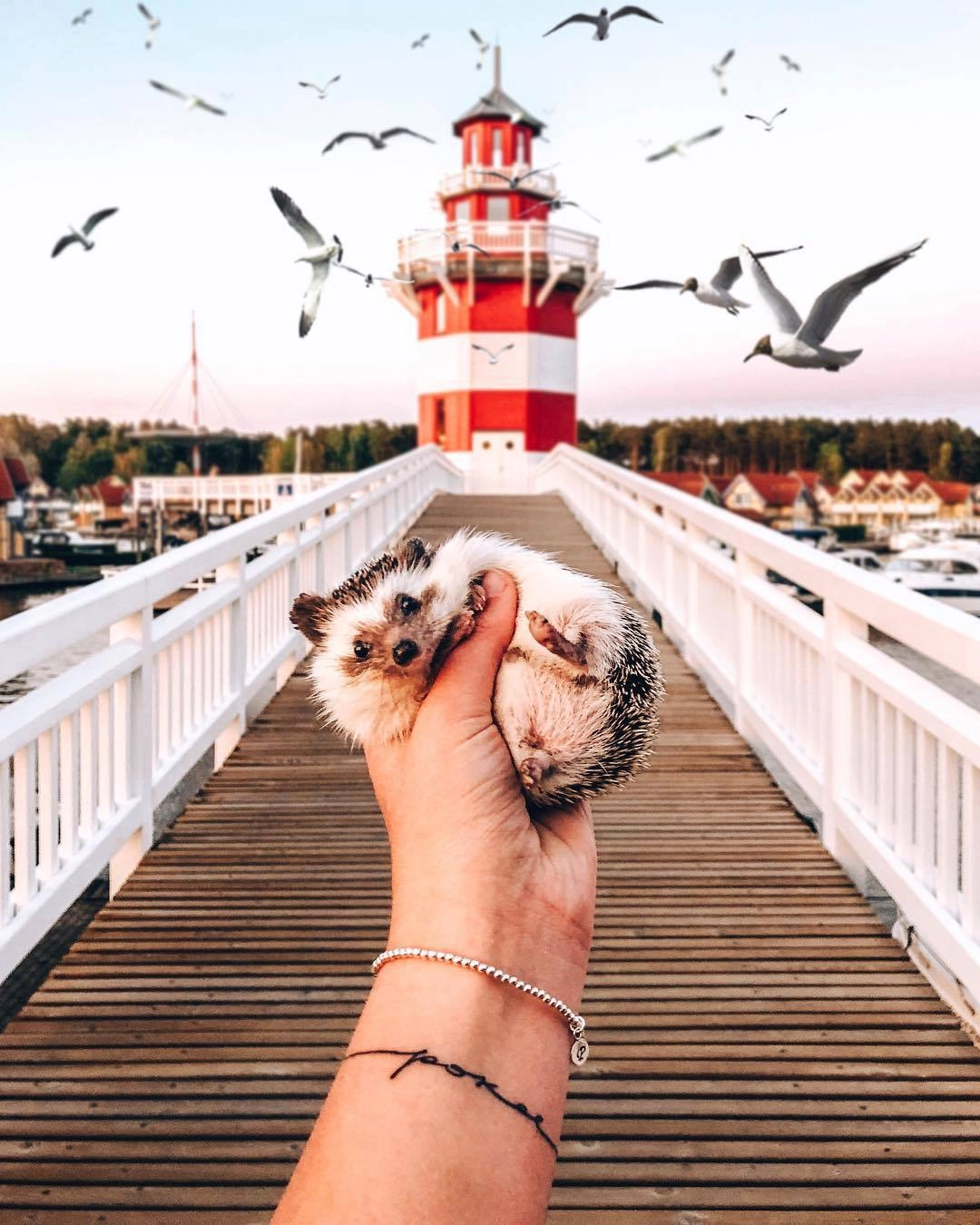 Источник: instagram.com Источник: instagram.com