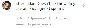 "Слон не знал, что они - исчезающий вид"