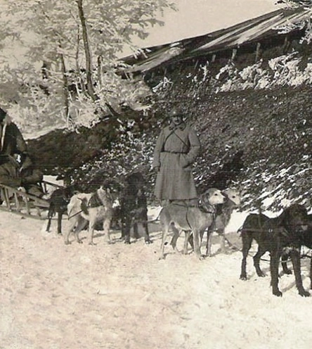Собаки SECA за работой, весна 1917 года. Кадр из фильма Жан-Люка Мессаждера из серии «Маленькие истории Великой войны».