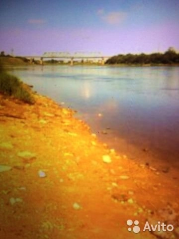 Место обнаружения яйца