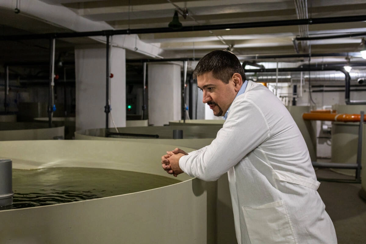 Дмитрий Троицкий, основатель и руководитель предприятия «Дары Волги». Предприятие «Дары Волги» — это семейная фирма, посторонних людей Дмитрий Троицкий, основатель и руководитель предприятия «Дары Волги». Предприятие «Дары Волги» — это семейная фирма, посторонних людей