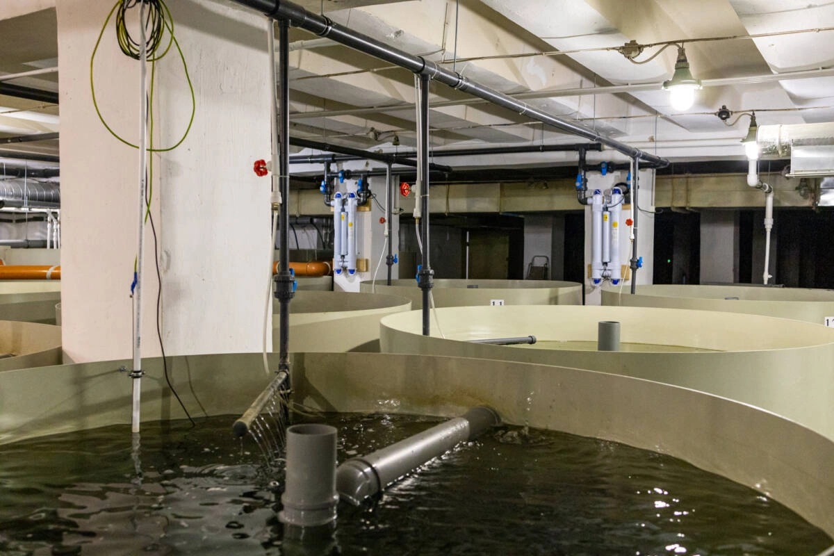 Большую часть оборудования разрабатывали самостоятельно. Большую часть оборудования разрабатывали самостоятельно.