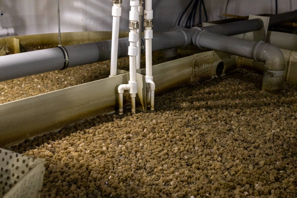 Биологический фильтр. Биологический фильтр.