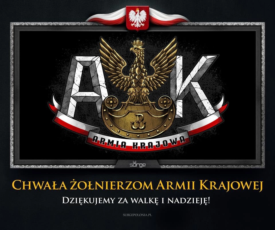 Картинка из польских соцсетей "Слава солдатам АК"