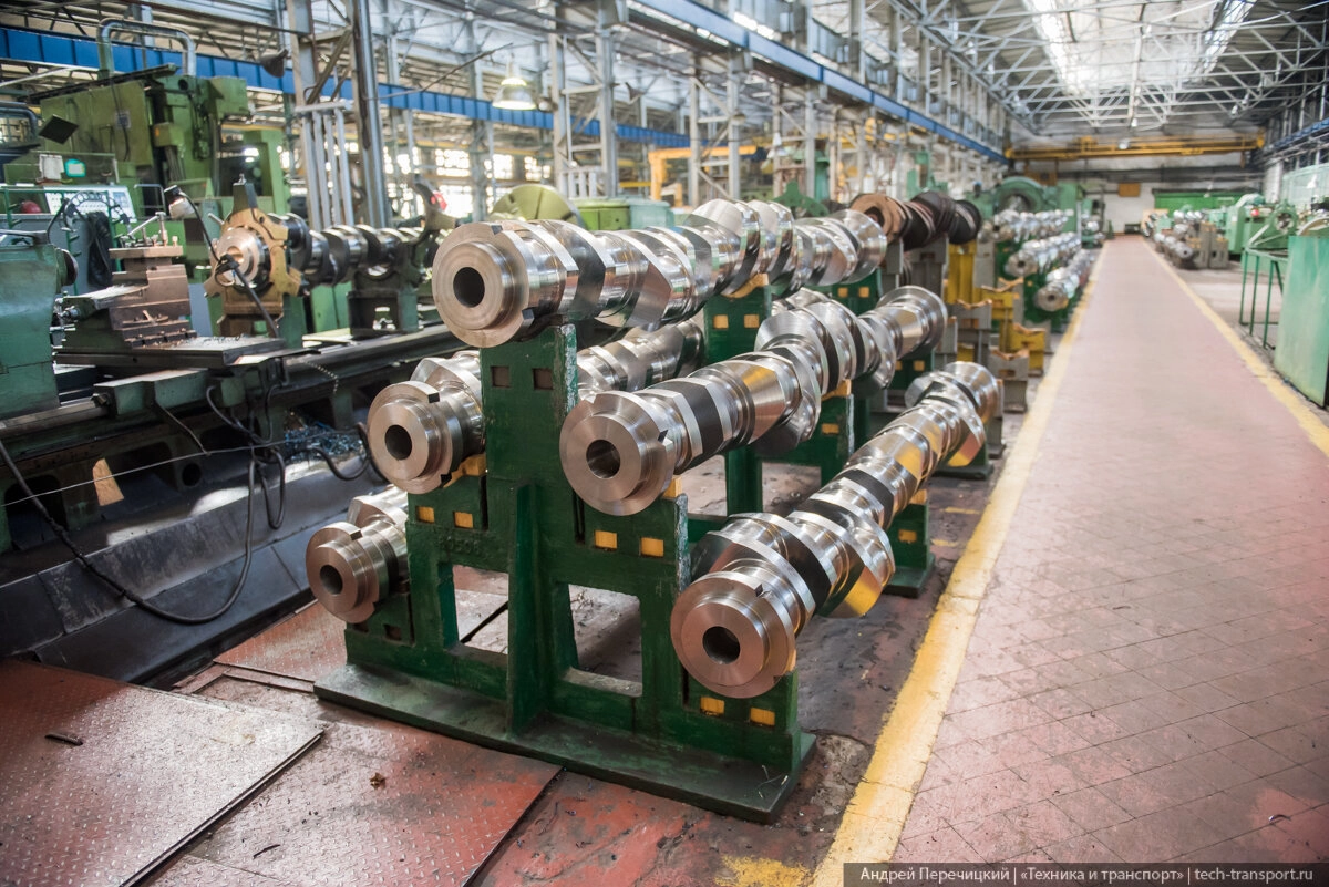 Их здесь много