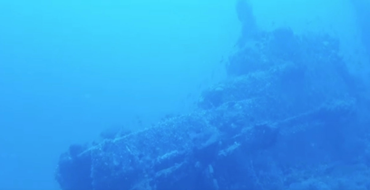 Ariane на глубине 50 метров. Скриншот видео.