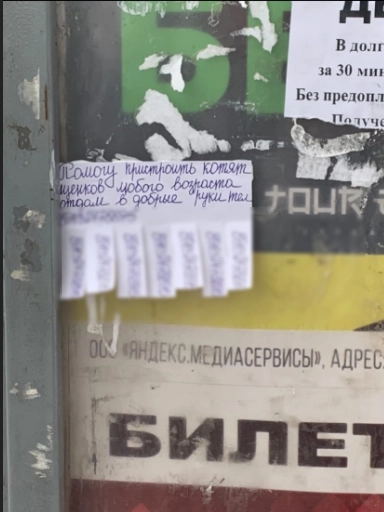 Объявление главной подозреваемой