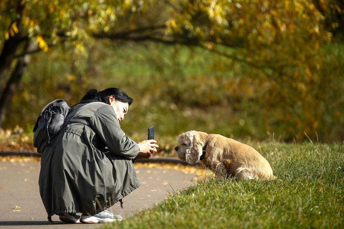 © Артем Геодакян/ТАСС © Артем Геодакян/ТАСС