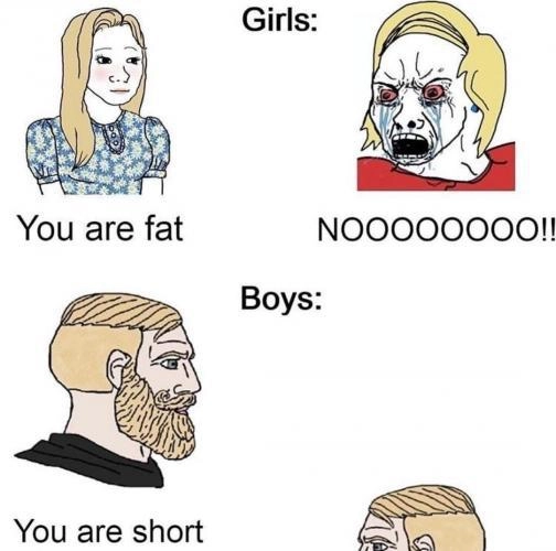 Девочки: – Ты жирная. – Нееееет. Мальчики: – Ты низкий.