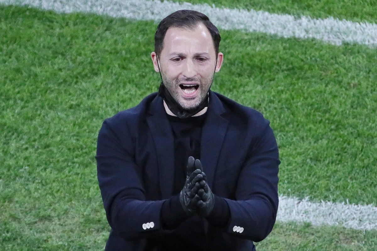 Доменико Тедеско