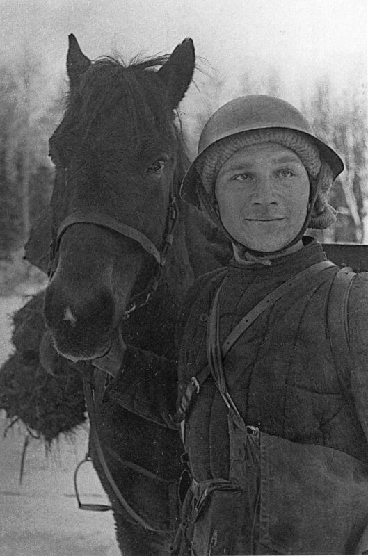 Конный разведчик Пётр Кириллович Кирейчиков на Карельском перешейке. Советско-финская война, 30 ноября 1939 года. Автор снимка М. Редькин. waralbum.ru Конный разведчик Пётр Кириллович Кирейчиков на Карельском перешейке. Советско-финская война, 30 ноября 1939 года. Автор снимка М. Редькин. waralbum.ru