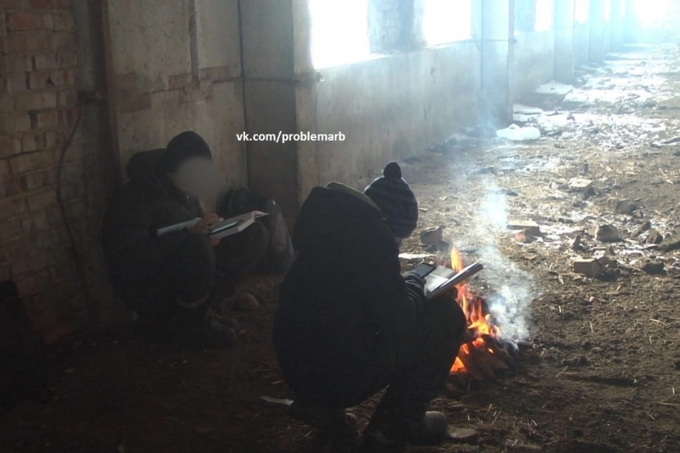 Дистанционный урок в коровнике