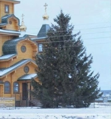 Вот такое вот главное украшение города Вот такое вот главное украшение города