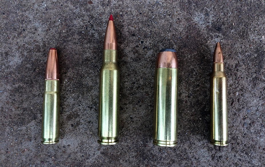 Патроны в сравнении: 300 Blackout, .308, 500 Auto Max и 5,56 мм (слева направо)