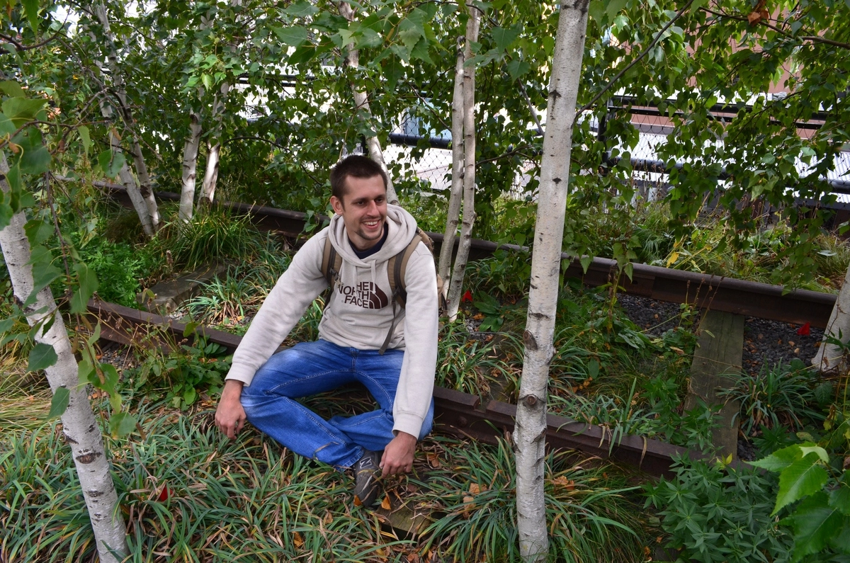 Всеволод Петровский