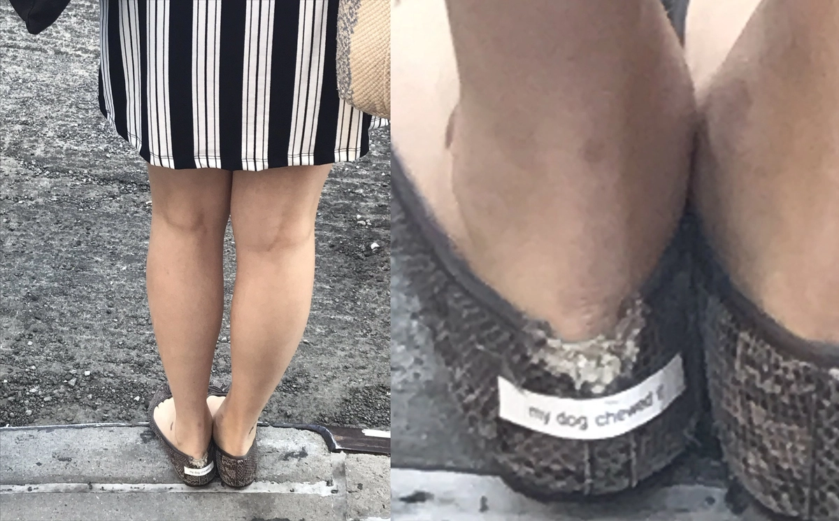 Их пожевала моя собака