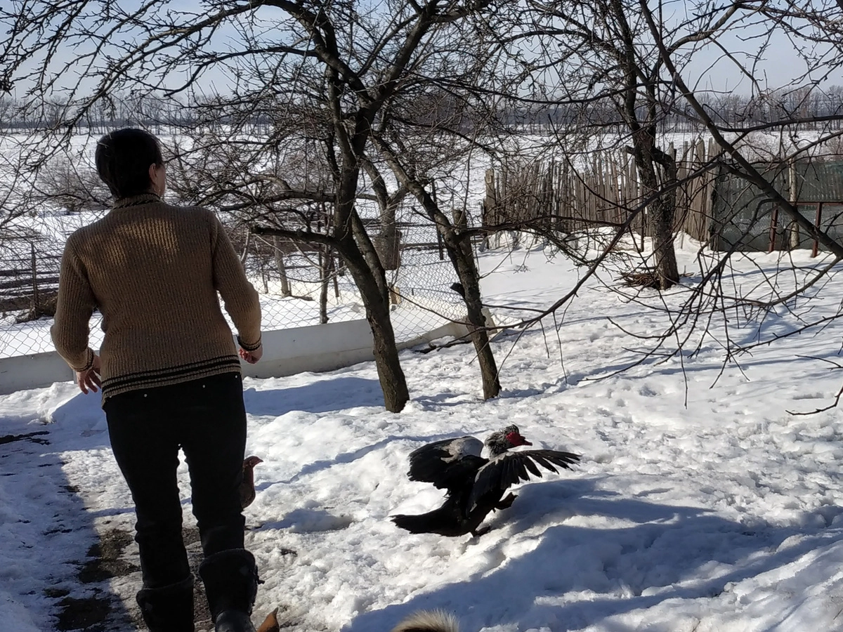 За садом и оврагом - линия фронта