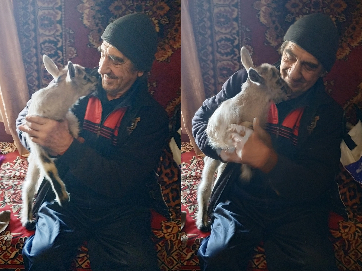 Дед с козленком Борькой
