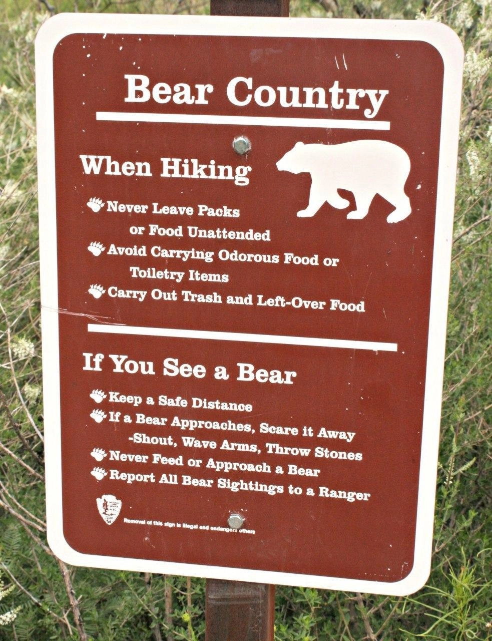 Перед входом практически в любой парк в Канаде, вас будет ждать предупреждающий знак о том, что вы можете встретить медведя.