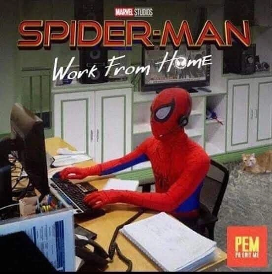 Человек-паук: Работа из дома
