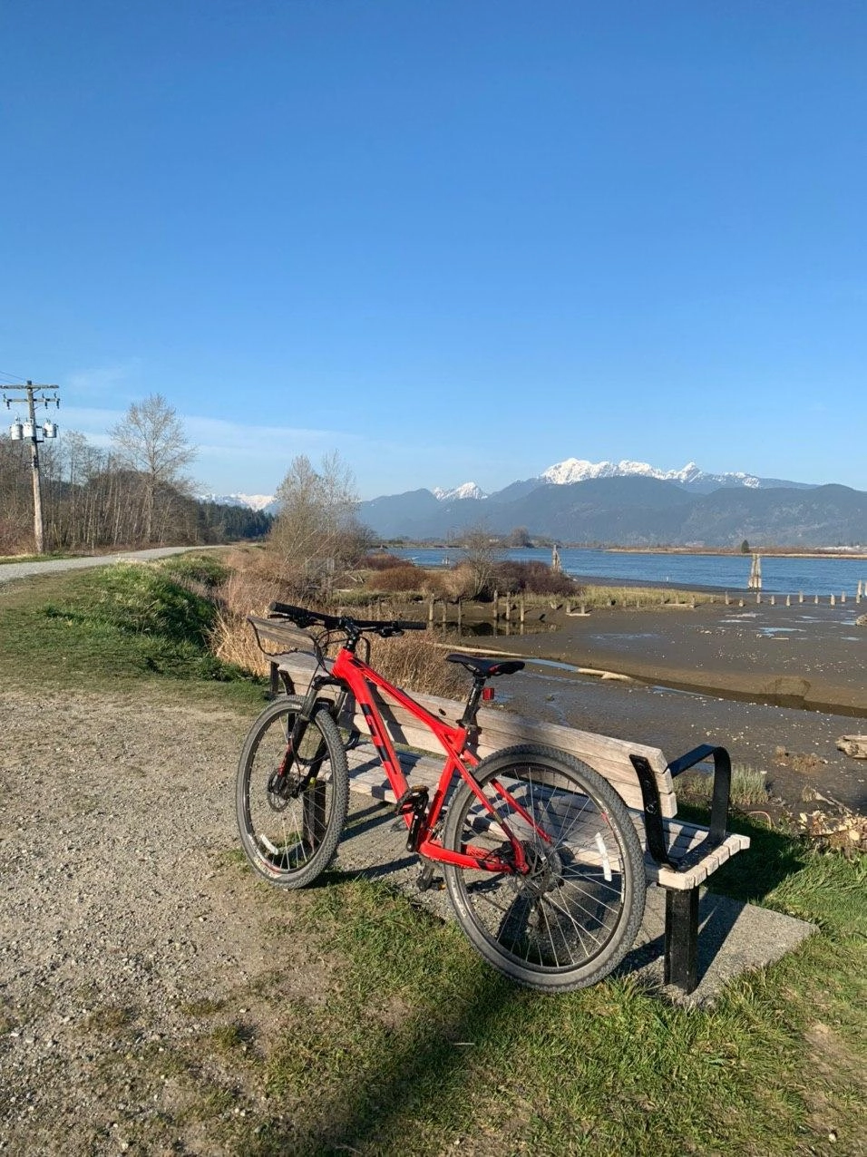 Social Distancing на велосипеде куда лучше. На участке в 15 километров встретил максимум человек десять и две медвежьи семьи. Можно сказать, что людей на этом трейле столько же, сколько и медведей.