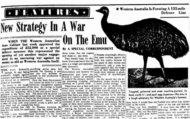 О новом заборе против эму в 1952 году сообщили австралийские газеты
