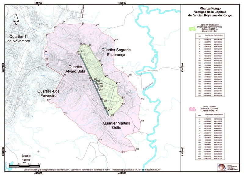 Правители Конго носили титул наконго или маниконго. Немалую роль в укреплении их власти сыграли давние связи с меднорудным регионом к северу от реки. Короли контролировали не только добычу меди в области Вунгу, но и сбор раковин нзимбу на атлантическом побережье — эти раковины служили средством обмена. Таким образом, королевство Конго возникло на пересечении путей и извлекало выгоду из торговли между различными областями. Позднее к этому добавился контроль за обширными сельскохозяйственными территориями.
