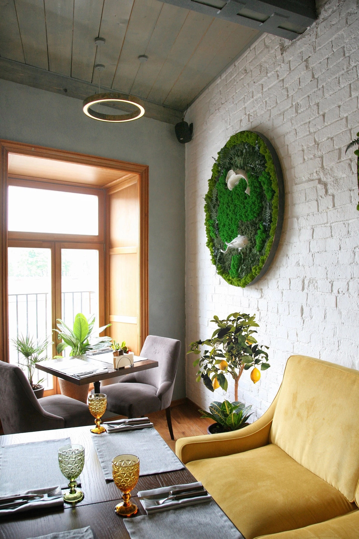 Лимонное дерево Лимонное дерево