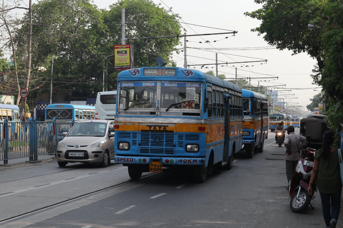 Автобусы охватывают весь город, и заходят в те районы, куда не добирается ни один из трёх видов рельсового транспорта.