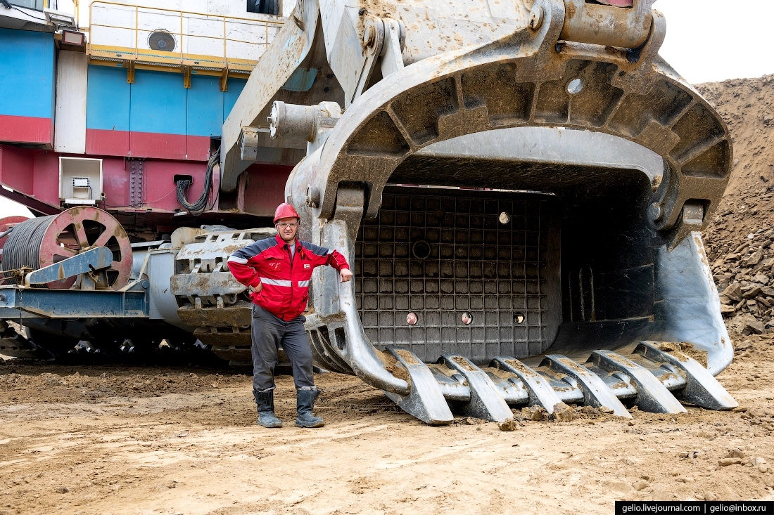 В ковш WK-35 помещается 35 кубометров руды весом 90 тонн. Столько же весят, например, 15 саванных слонов — самых крупных наземных млекопитающих планеты.