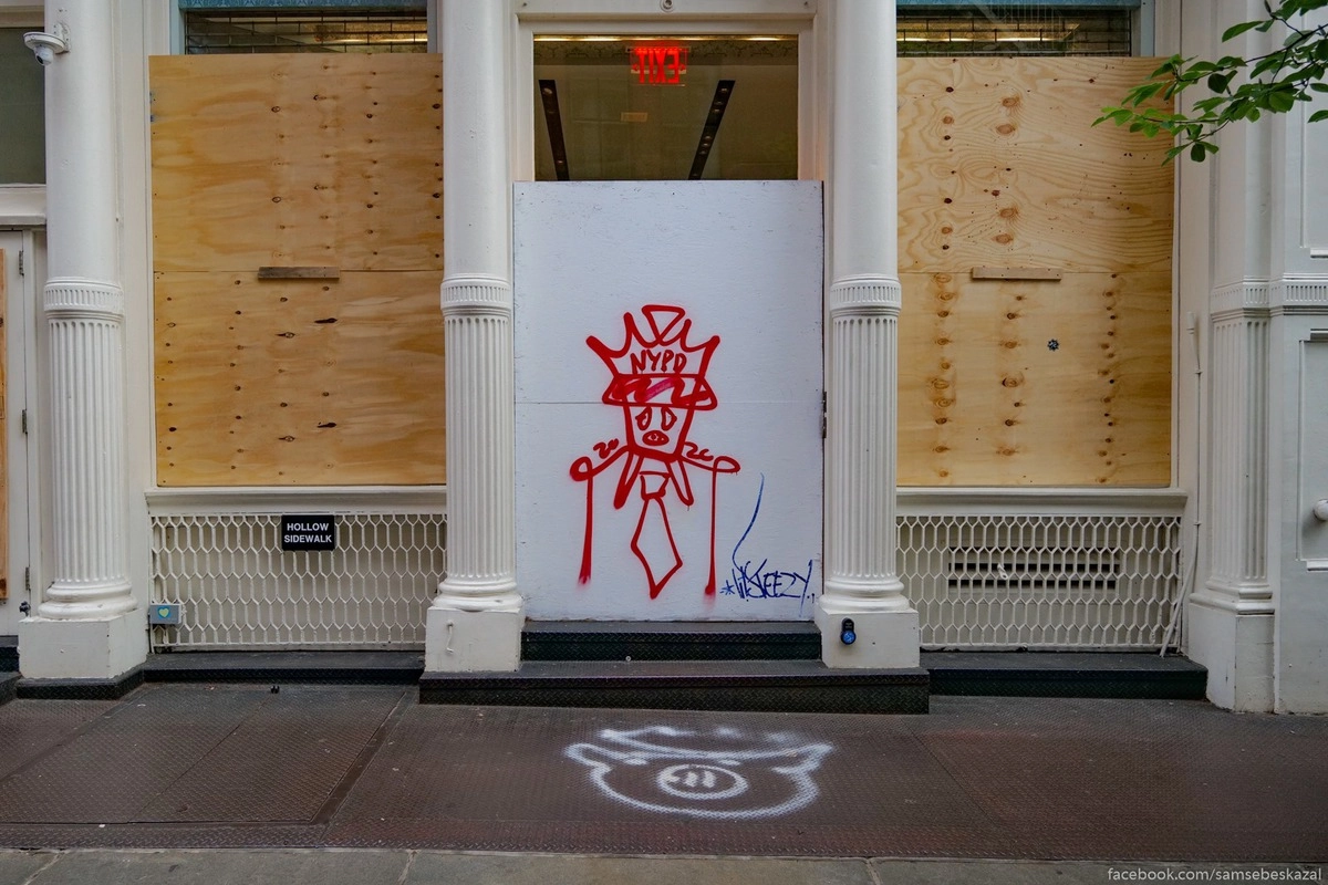 39. Протестующим не нравится полиция, а мне не нравится когда ее нет.