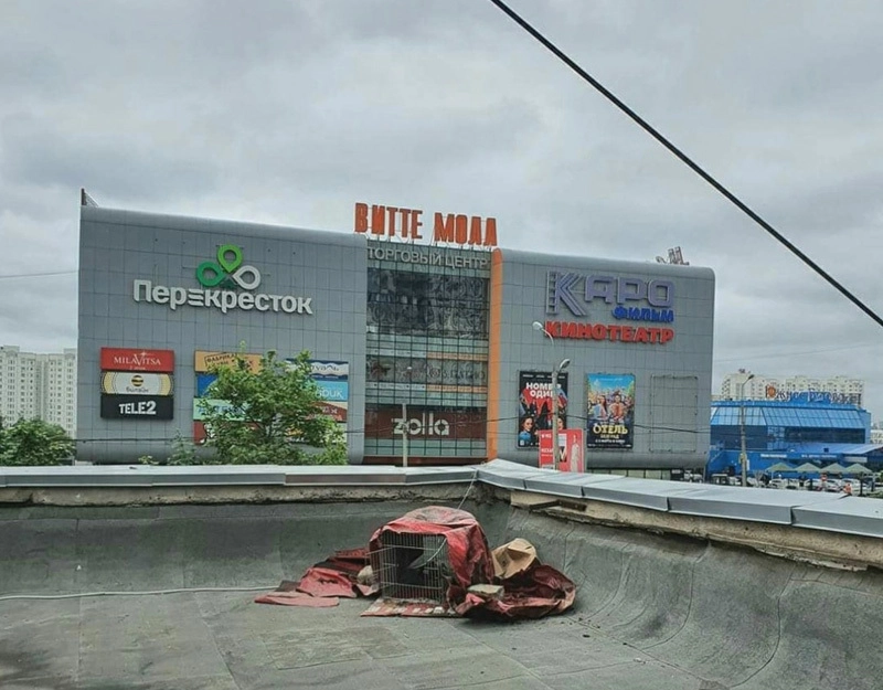 Убежище для утят