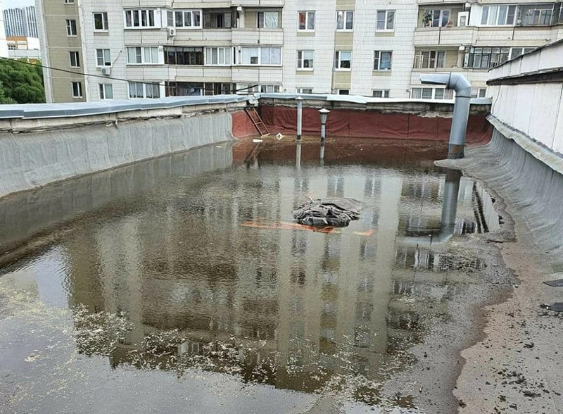 Водоем на крыше
