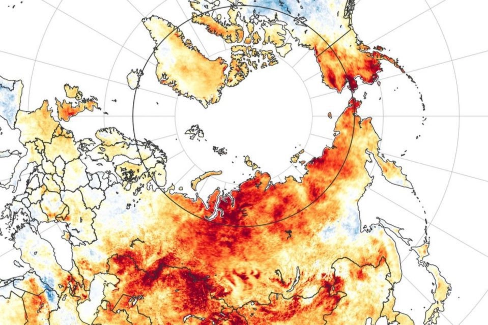 Температурные аномалии в Арктике весной-летом 2020 года.
