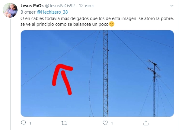 "Там более тонкие провода, чем показано на картинке, в них-то бедняга и застрял и там балансирует".