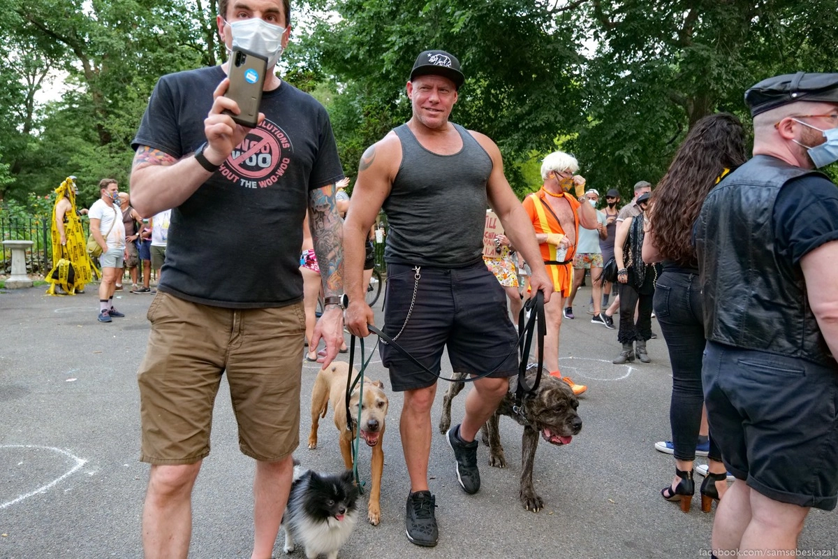 33. Мужик с собачками был явно из их тусовки.