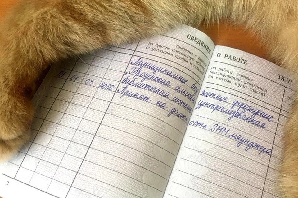 Трудовая книжка 