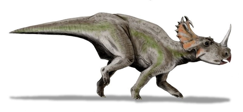 Центрозавр (Centrosaurus) 