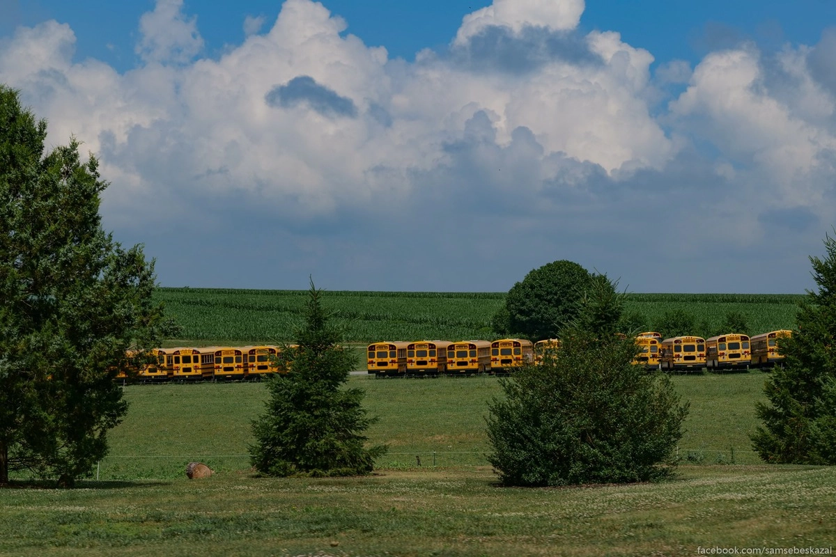 16. В полях взошел урожай школьных автобусов.