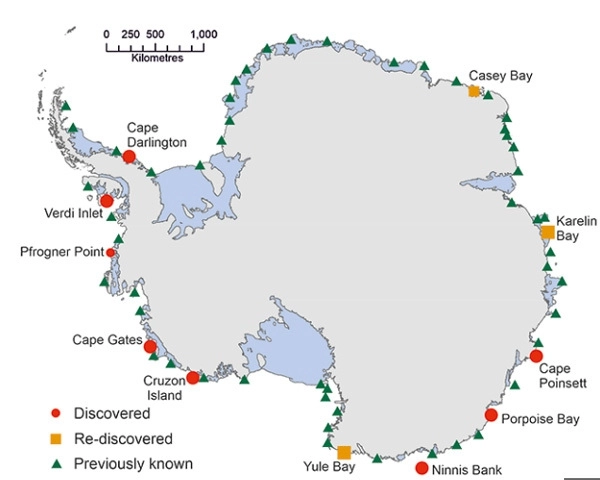 Новые колонии императорских пингвинов Новые колонии императорских пингвинов