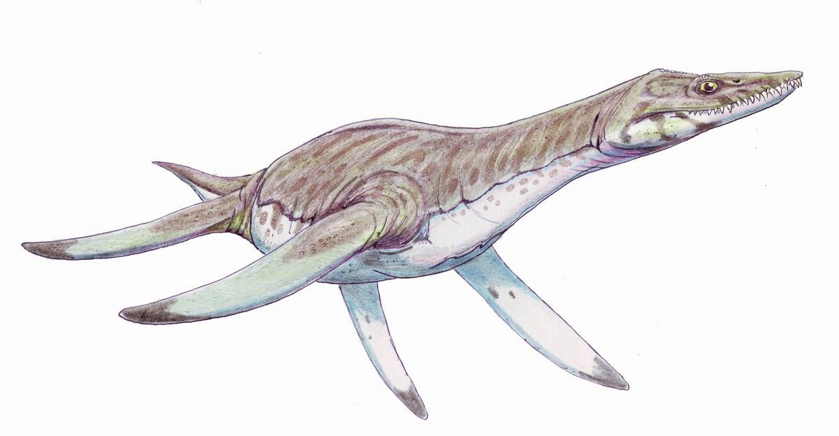 Pliosaurus
