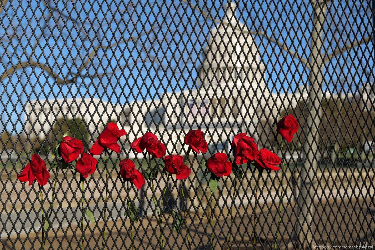 Капитолий и цветы на заборе.